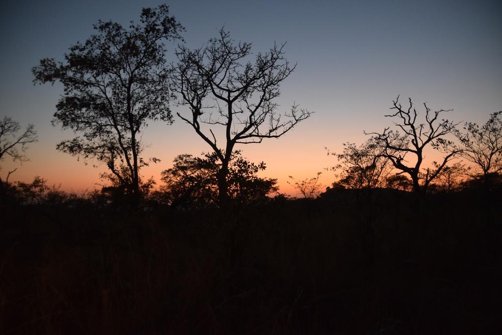 Tented Adventures Pretoriuskop Rest Camp 外观 照片