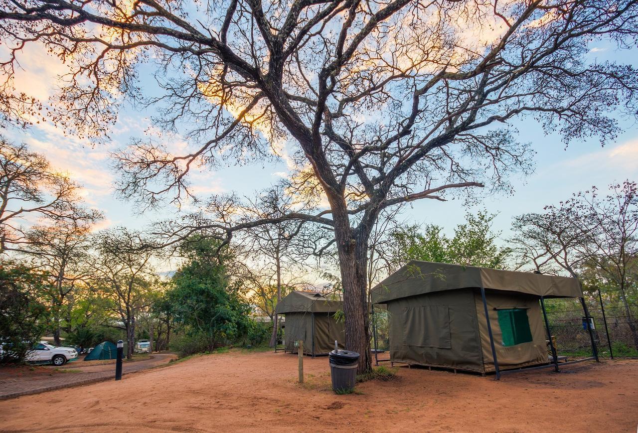 Tented Adventures Pretoriuskop Rest Camp 外观 照片